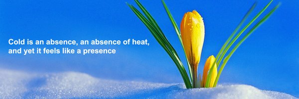 tuliproot Profile Banner