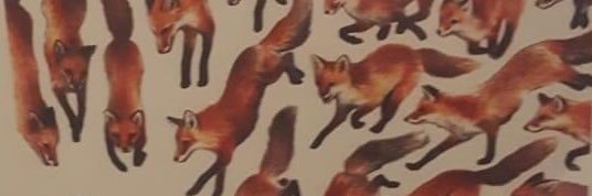Nikbotik's profile banner image