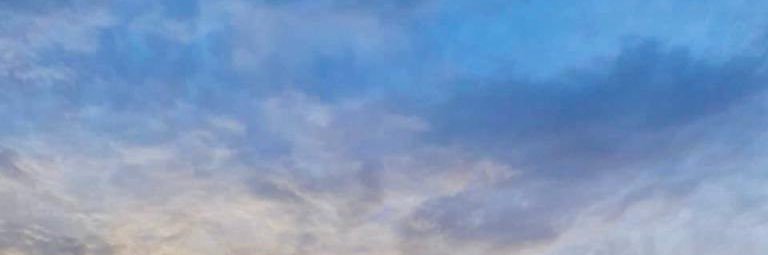 biquevedo's profile banner image