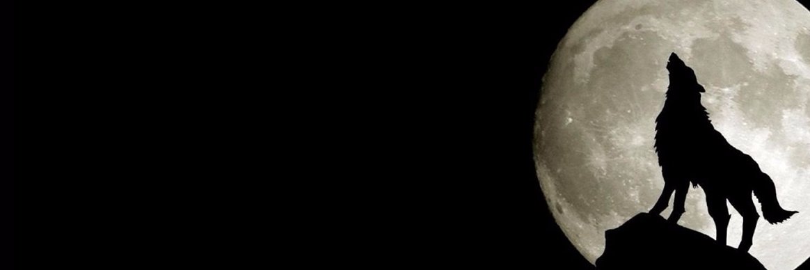 SinclairXavier's profile banner image