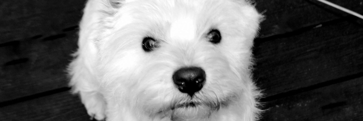 KajsaBrorsson's profile banner image