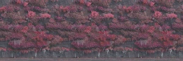 MatinyAteez Profile Banner