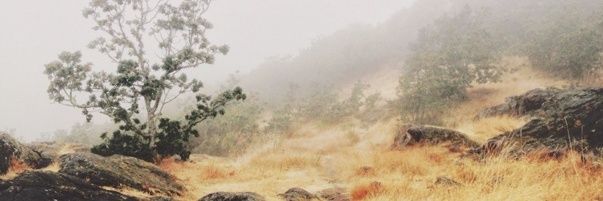 chlorinebeans's profile banner image