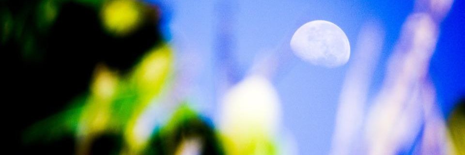 jeanncs's profile banner image