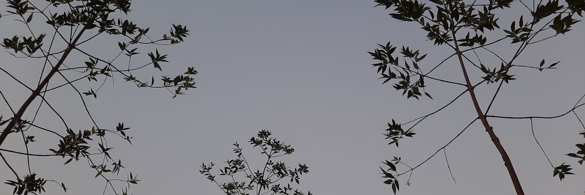 sinthadf's profile banner image