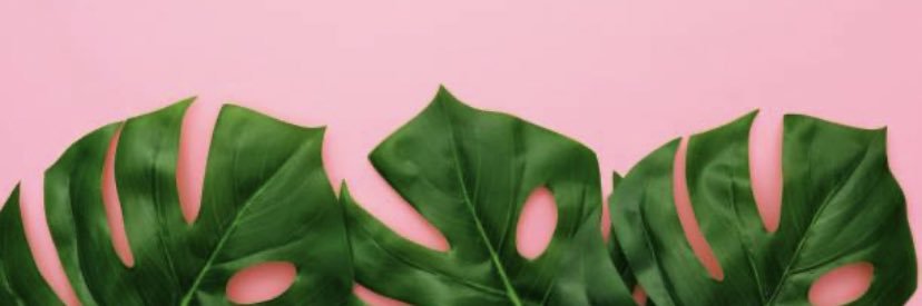 mirandashaynee's profile banner image
