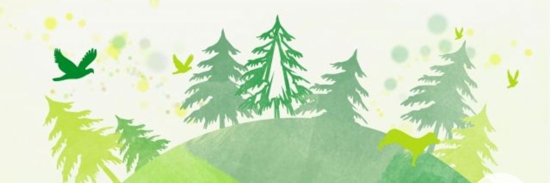 pikalin0202's profile banner image