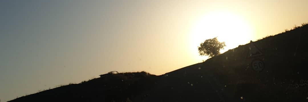devletkitler's profile banner image