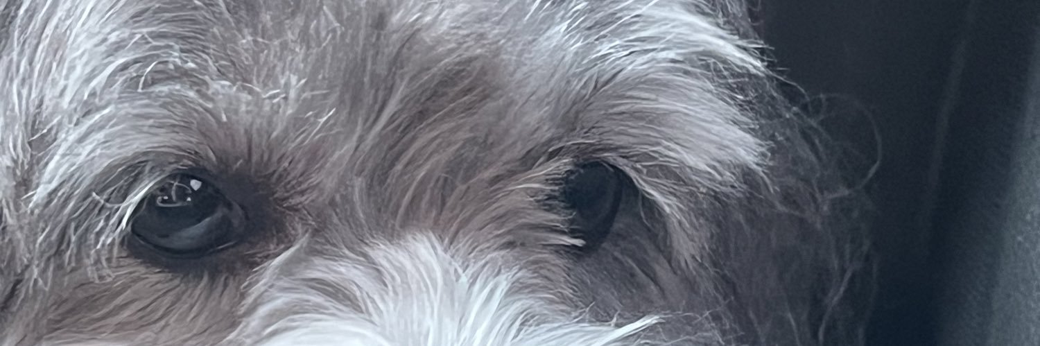 DFV_31's profile banner image