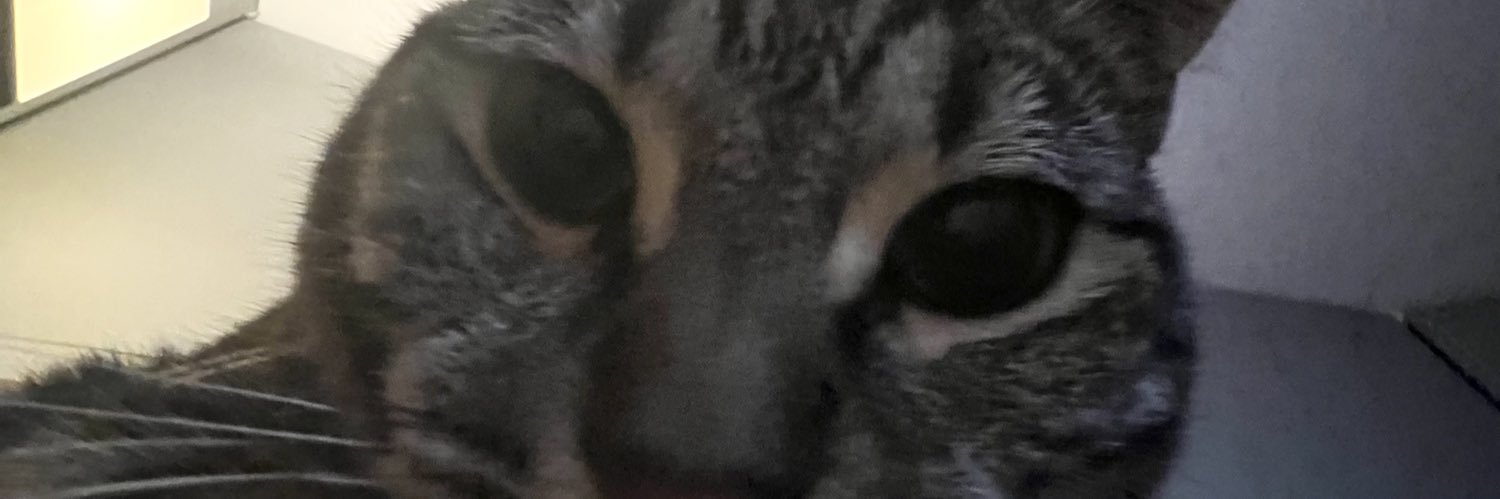 HousofJade's profile banner image