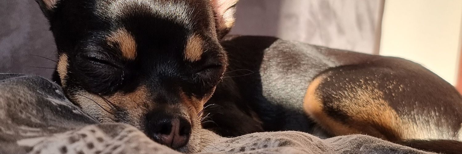 BeckyMorris32's profile banner image
