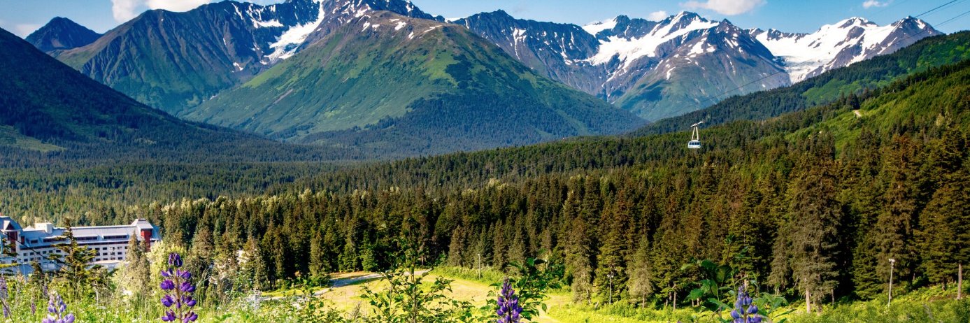 resortalyeska's profile banner image