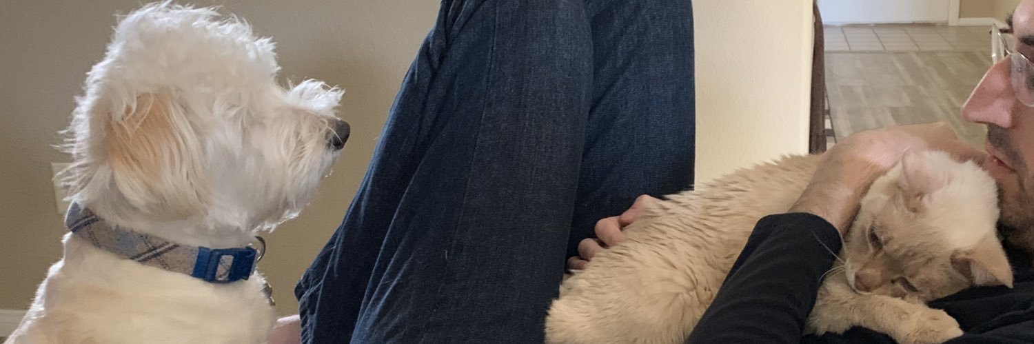 Shrubbo's profile banner image
