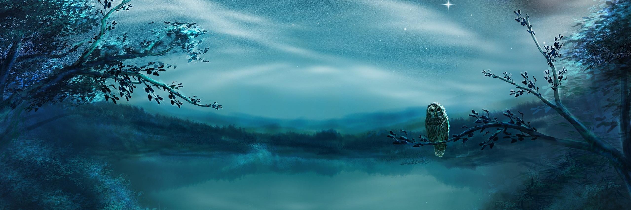MarCerejo's profile banner image