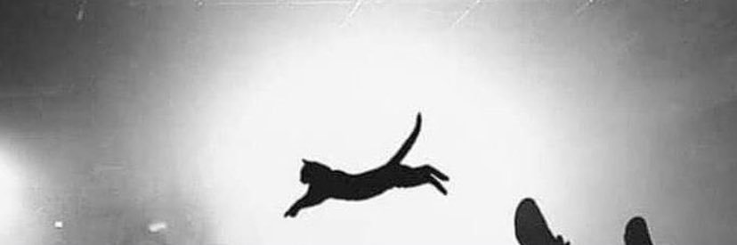 bittersweet6660's profile banner image
