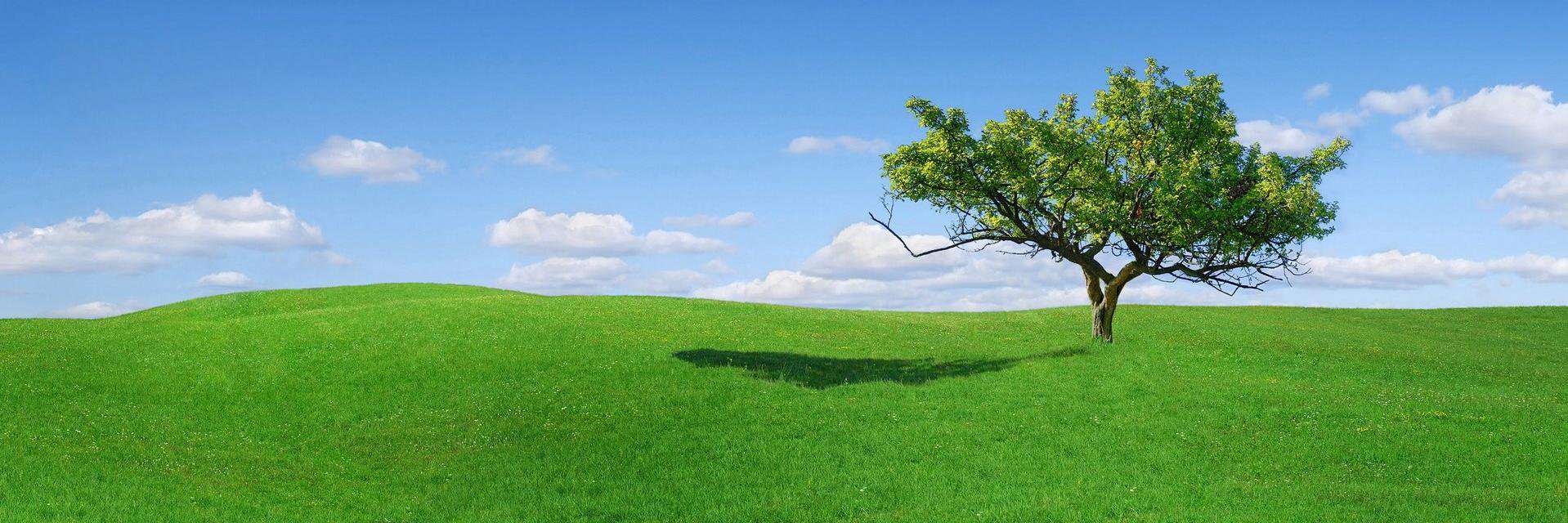 ZWPiemonte's profile banner image