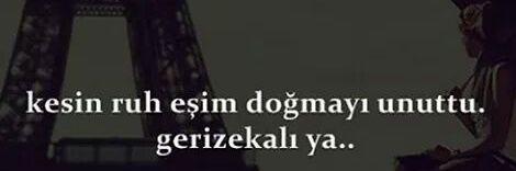 OlgunFiliz's profile banner image