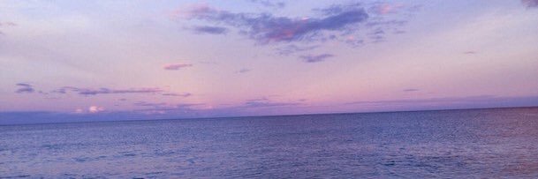 AycaErdal's profile banner image