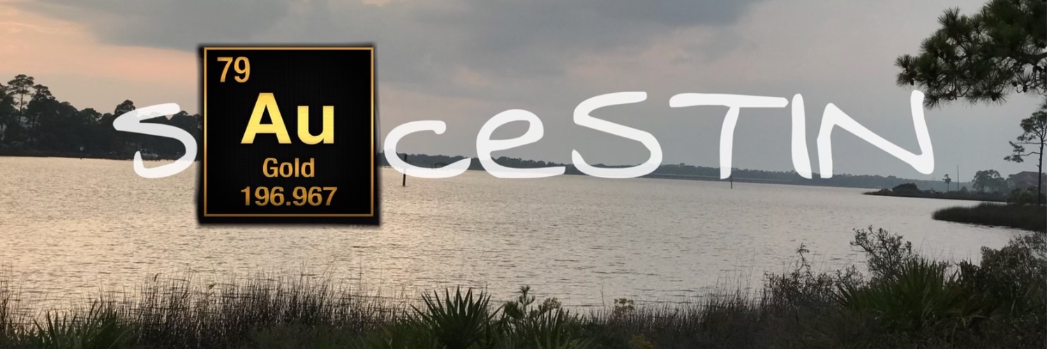 puggers___'s profile banner image