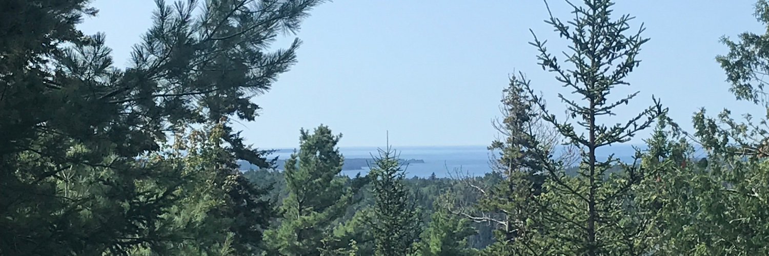 annhtvl's profile banner image