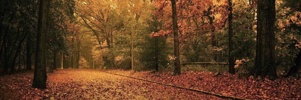 MartinnLb's profile banner image