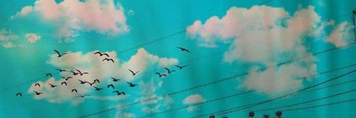 DY32's profile banner image