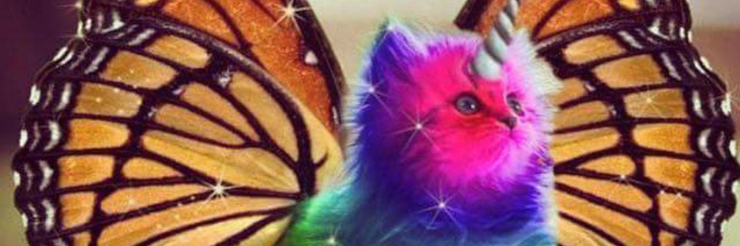 8ruffs's profile banner image