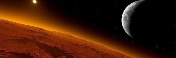 LeoChamaeleo Profile Banner