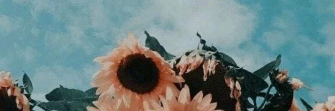 lora_alb's profile banner image