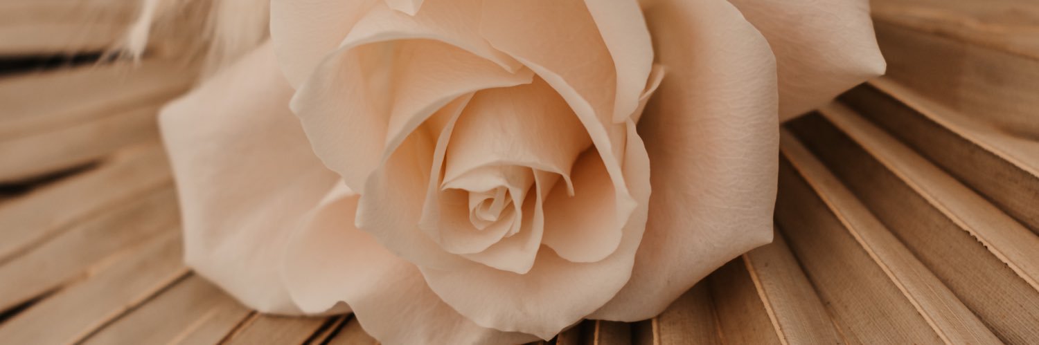 JustineBauduin8's profile banner image