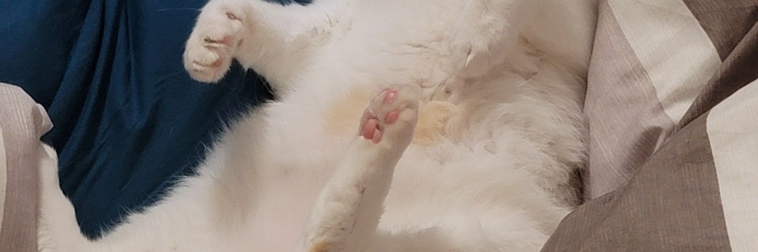 Riddleshower's profile banner image