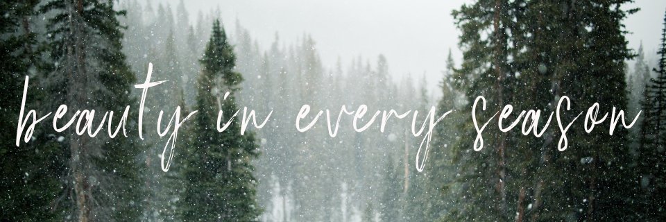 ElizaBookout's profile banner image