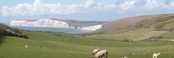 idgiles Profile Banner