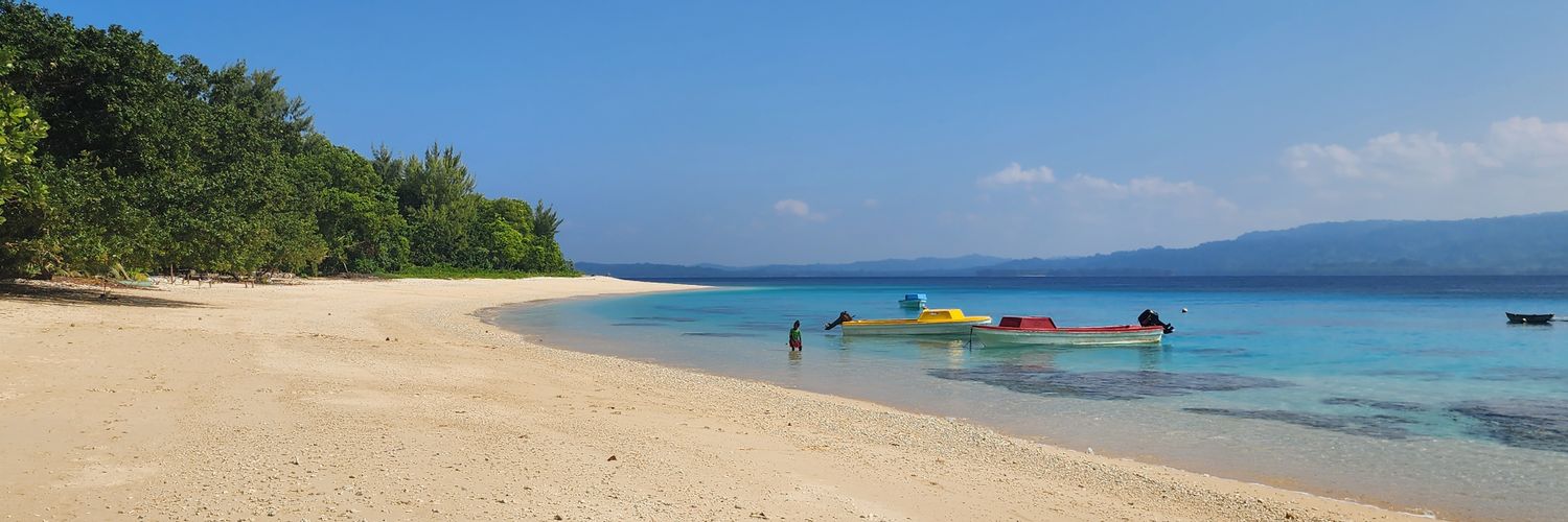 Basil Leodoro banner