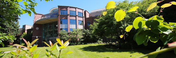 UO Business Advising Profile Banner