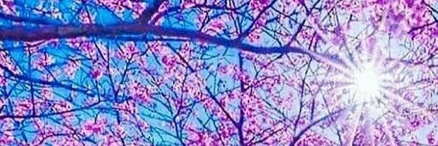 Chdiab's profile banner image