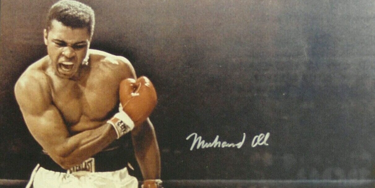 Adrian_90_29's profile banner image