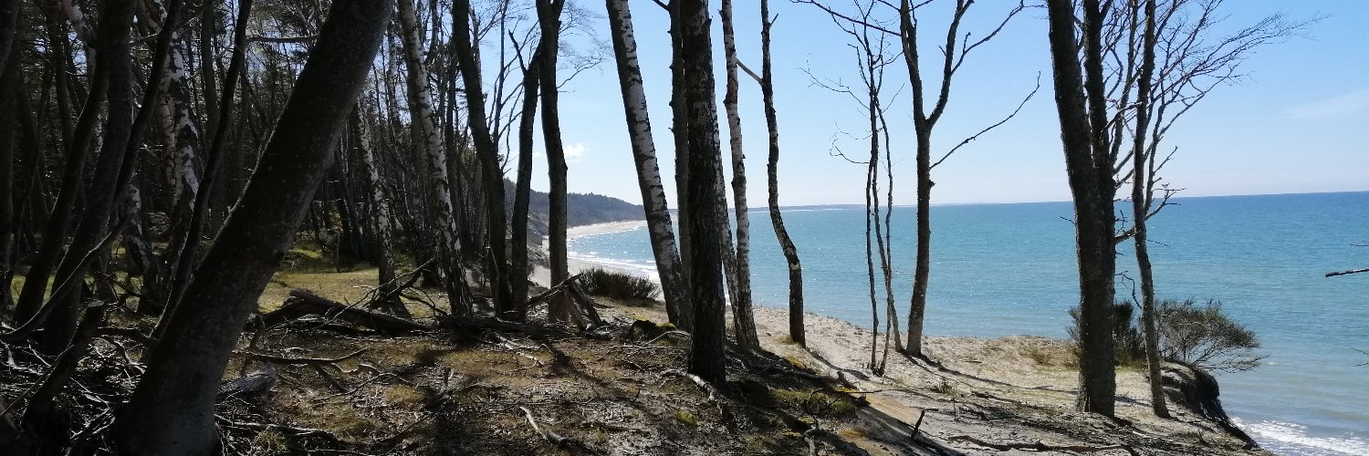 wojskimm's profile banner image