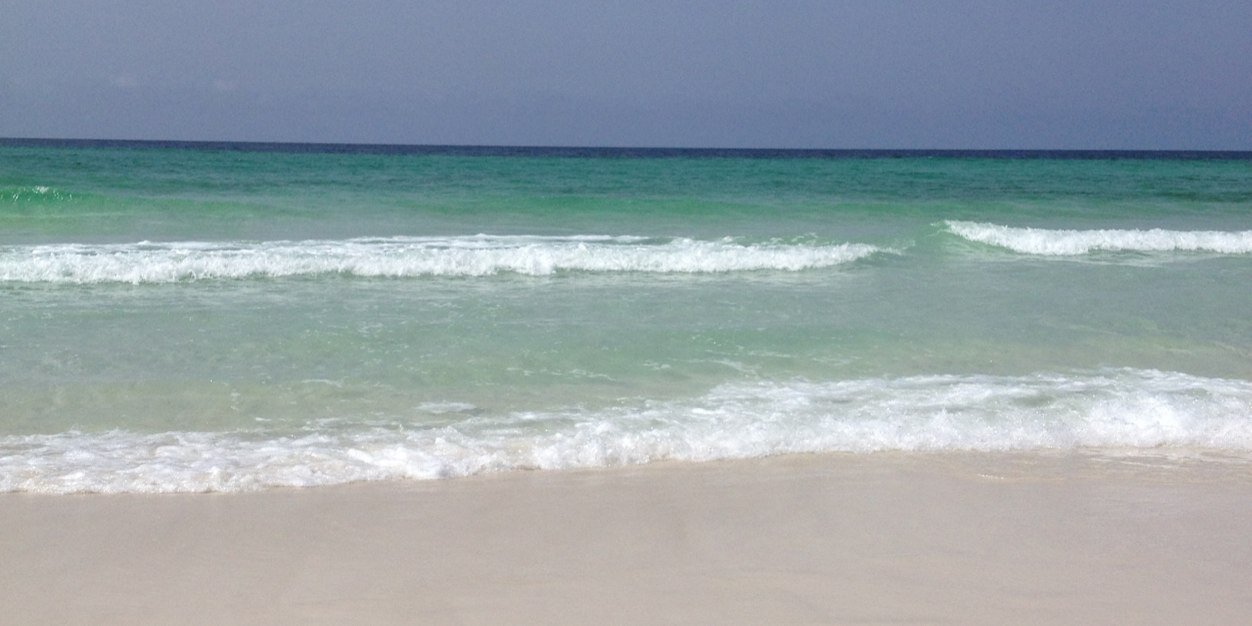 Deanne Fiedler banner