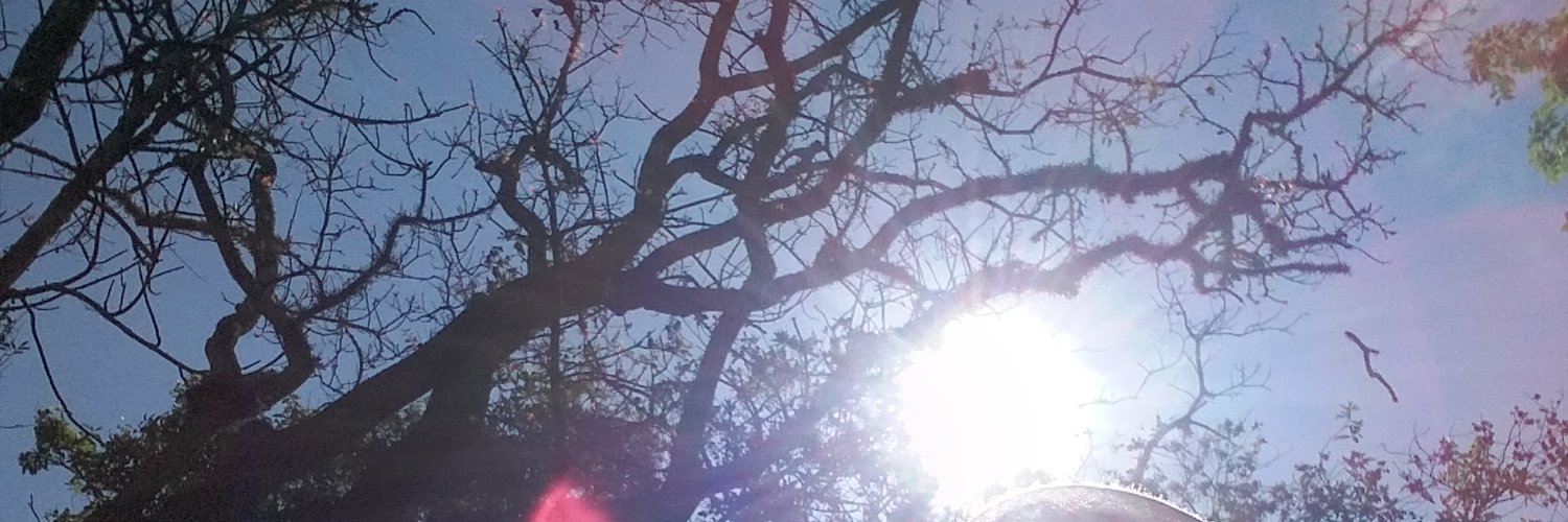 Mboeyal's profile banner image