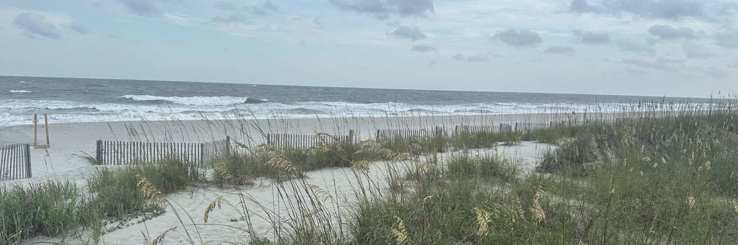 Mrs_Pfisterer's profile banner image