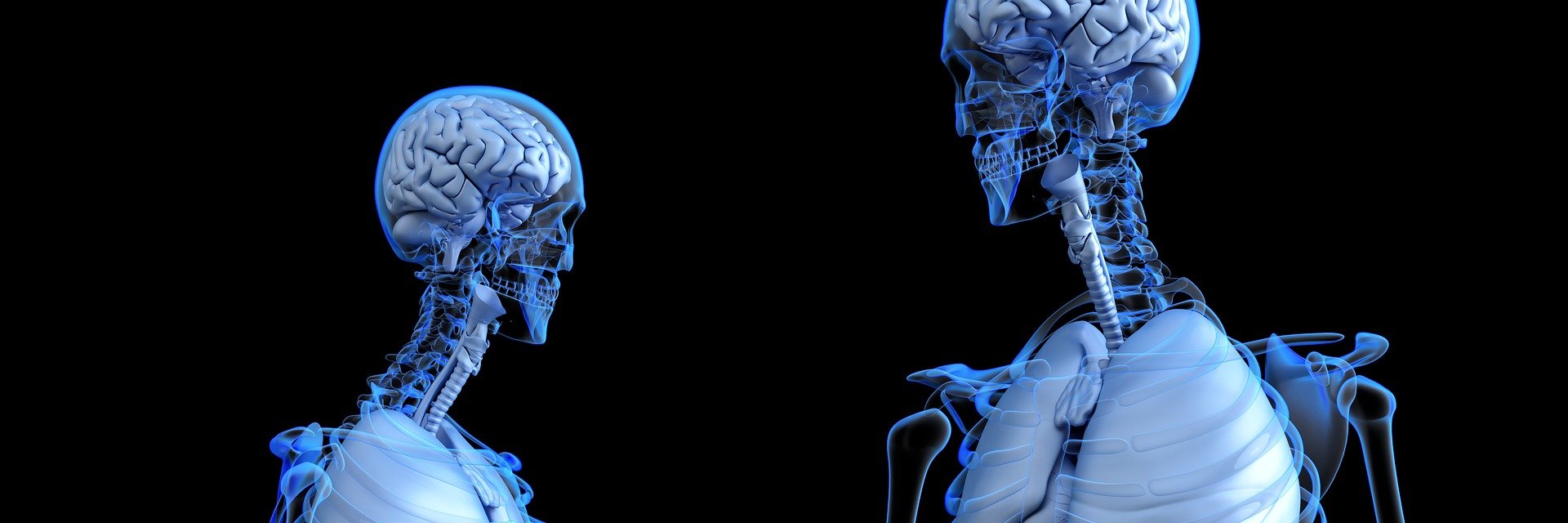 BodyAnatomy's profile banner image