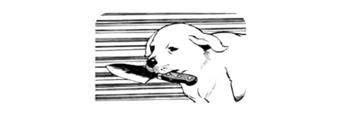 Purgatorrie's profile banner image