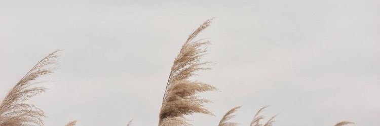 radyi110's profile banner image