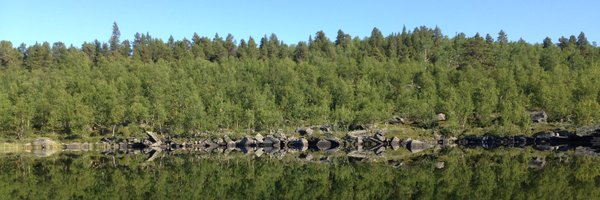 PatrikHellgren Profile Banner