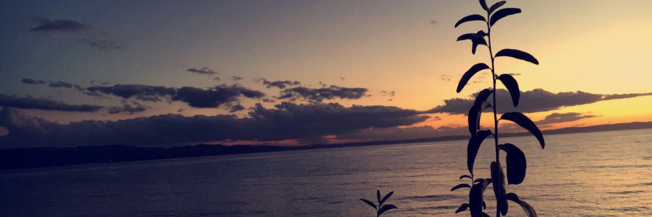 hilllshn's profile banner image