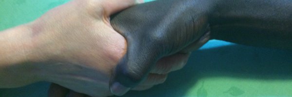 bahajos Profile Banner