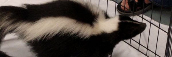 smmcmurray Profile Banner