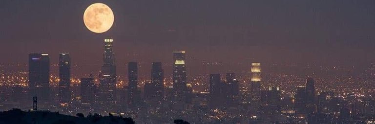 🌙 banner