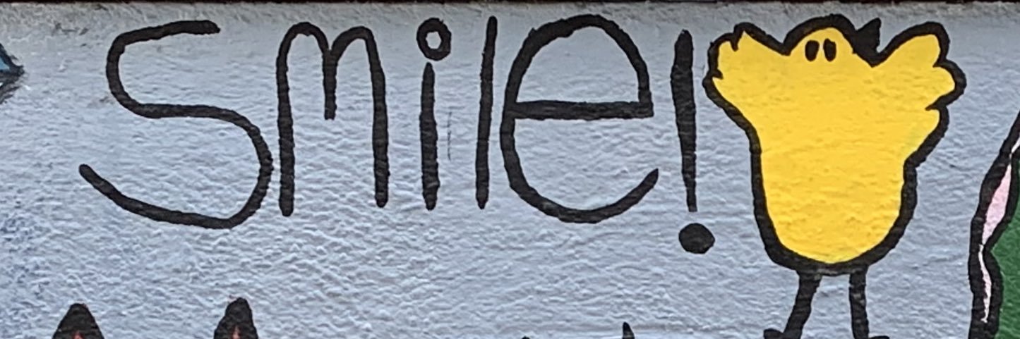 Dawg banner
